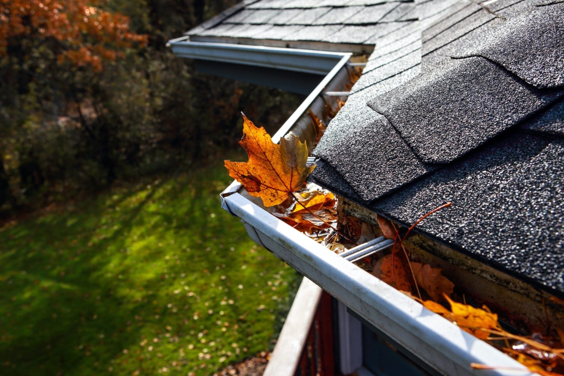K-style gutters on a house clogged with leaves.