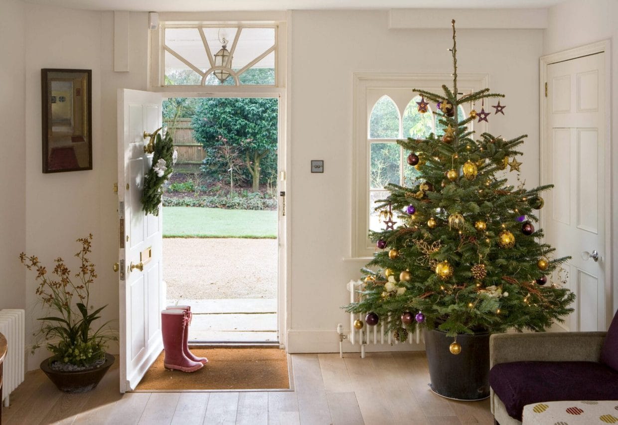 What to Do With an Old Christmas Tree