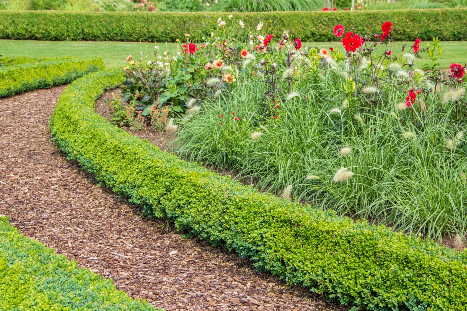 mulch on a walkway