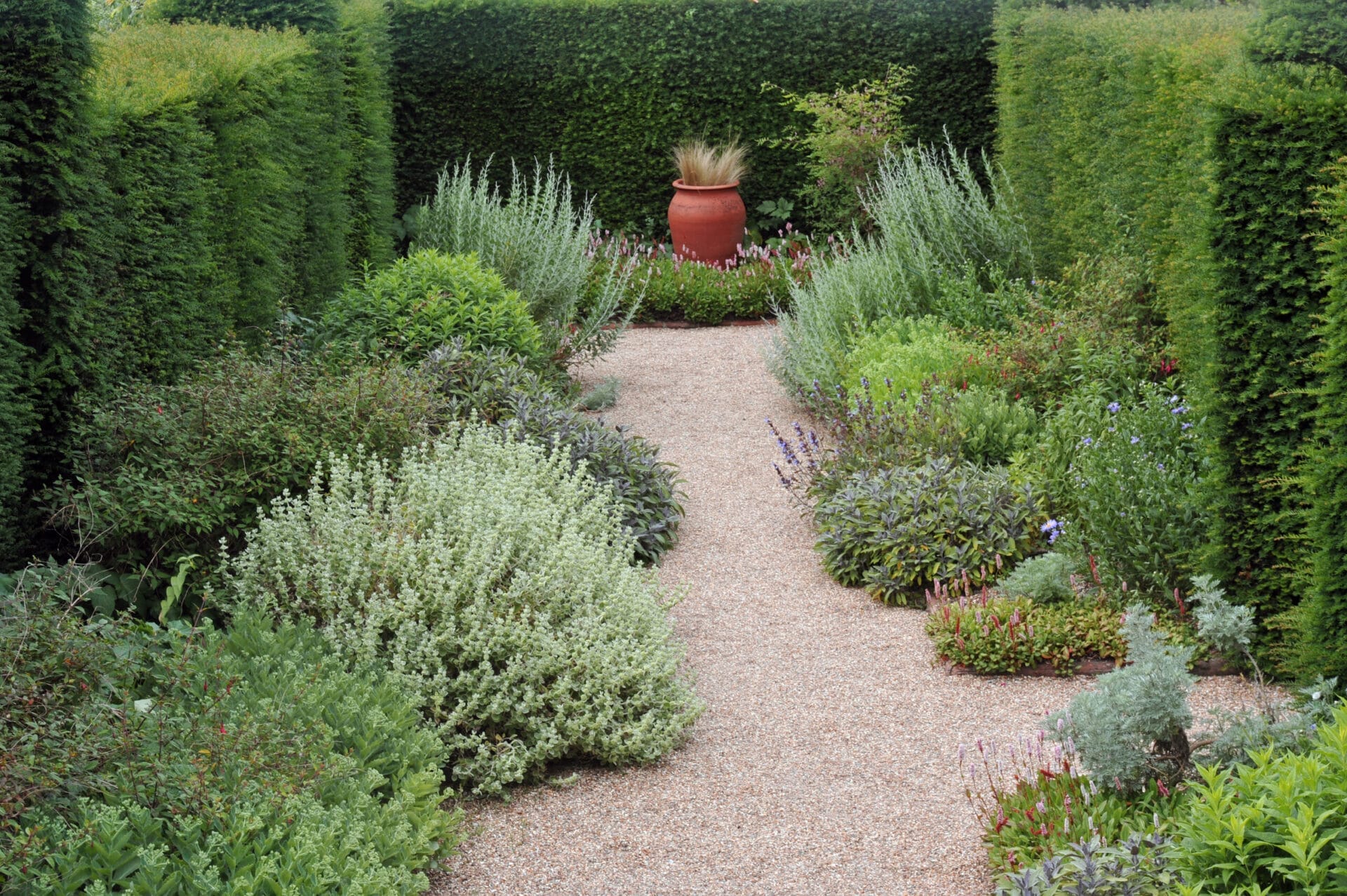 a gravel walkway surrounded by bushes