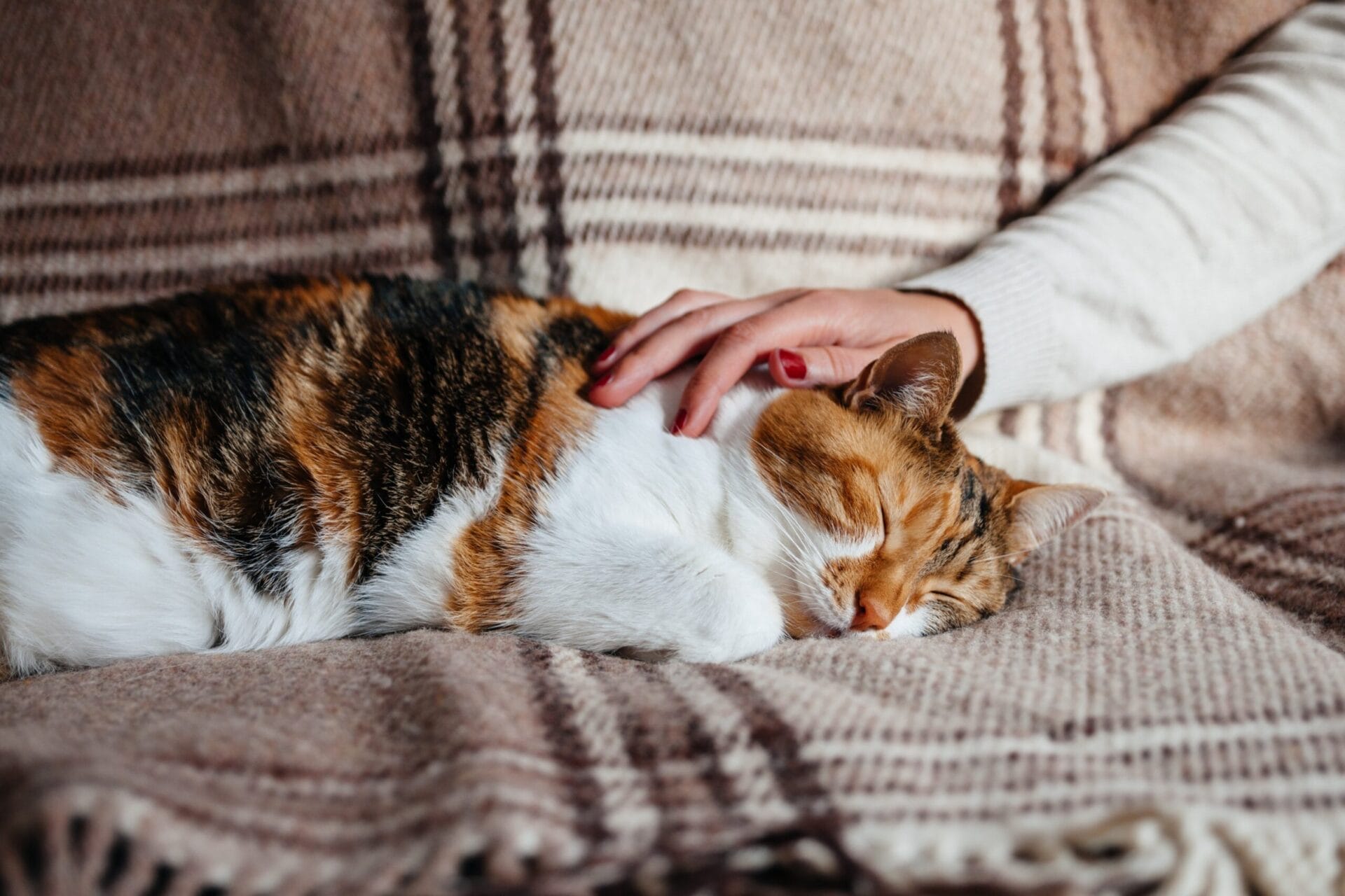 AdobeStock_200051437