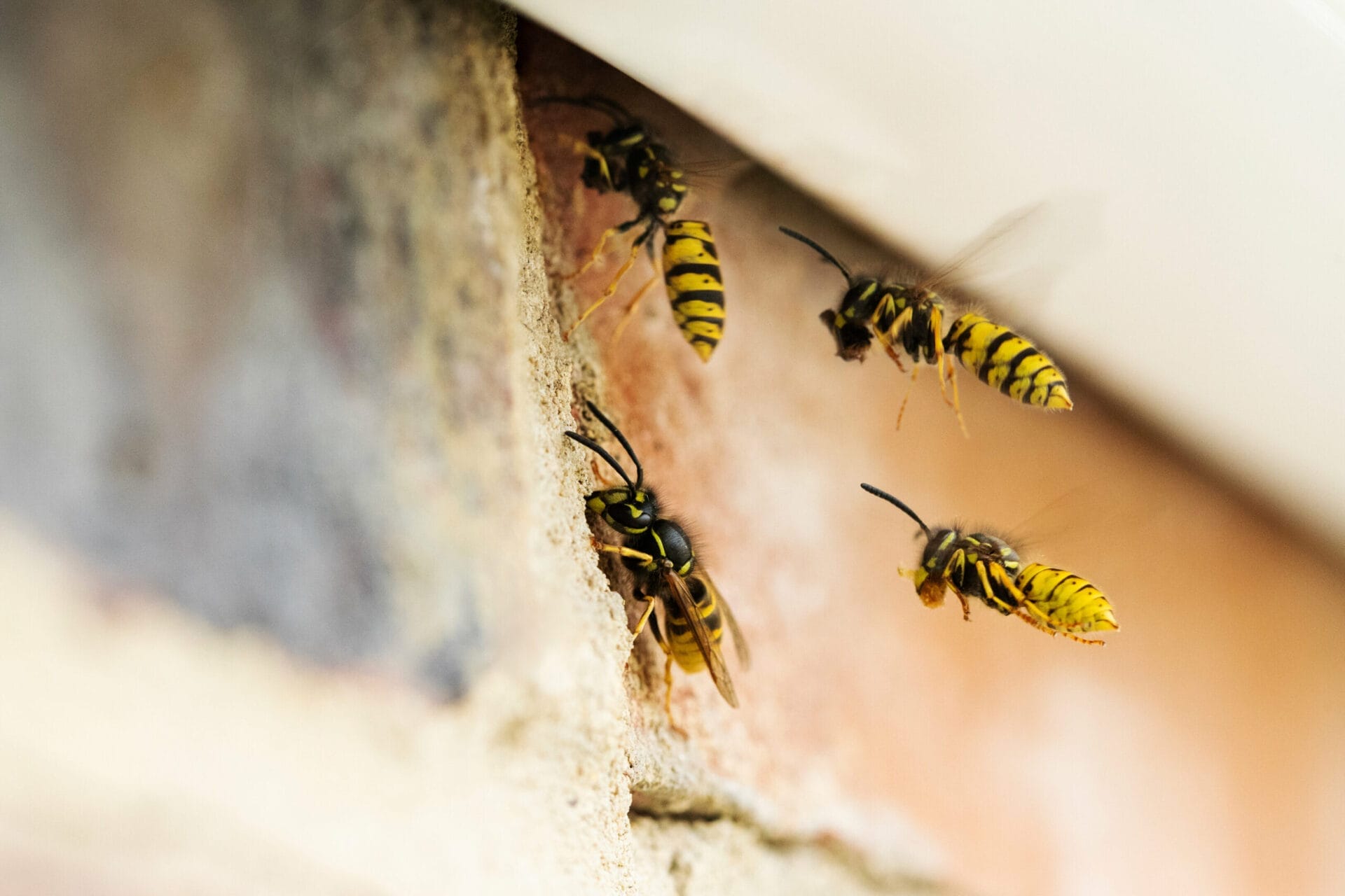 rsz_adobestock_281005902