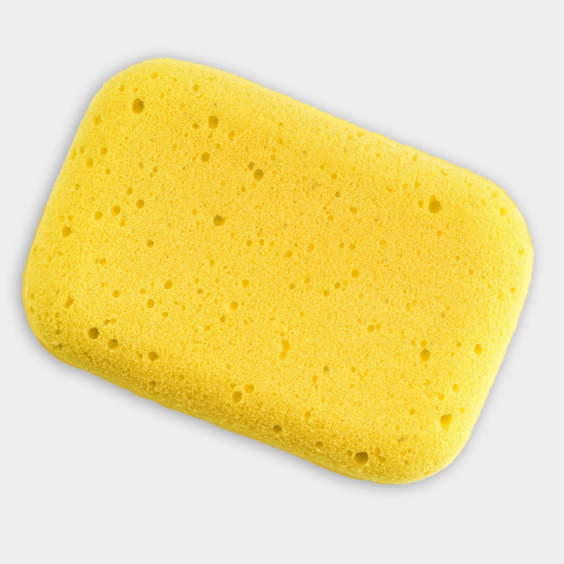 Sponge