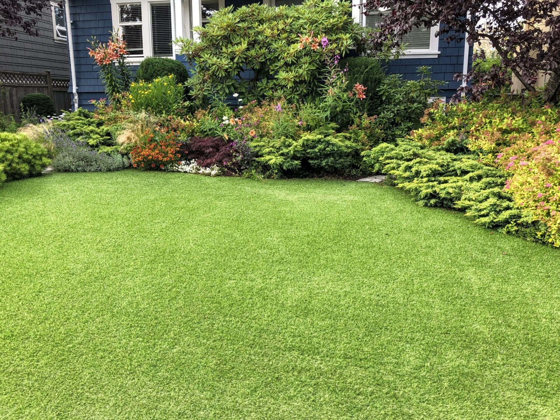 Beautiful_lawn