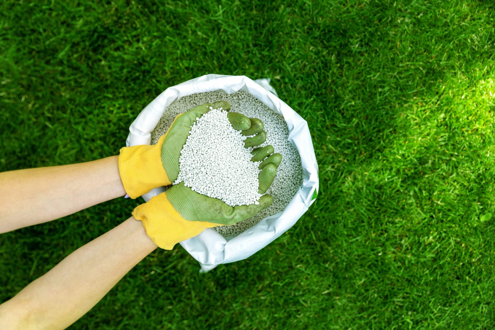 rsz_adobestock_370744651