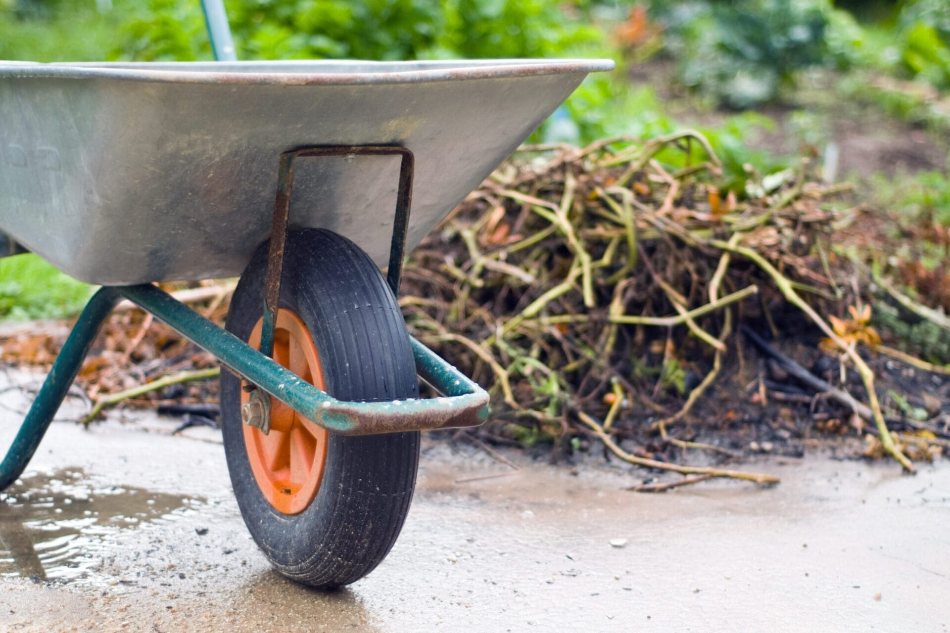 A wheelbarrow being pushed along a walkway in Spring.
