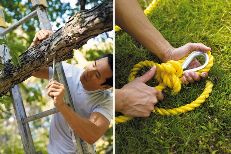 A man using a ladder to prepare a tree to attach a tree swing to it.