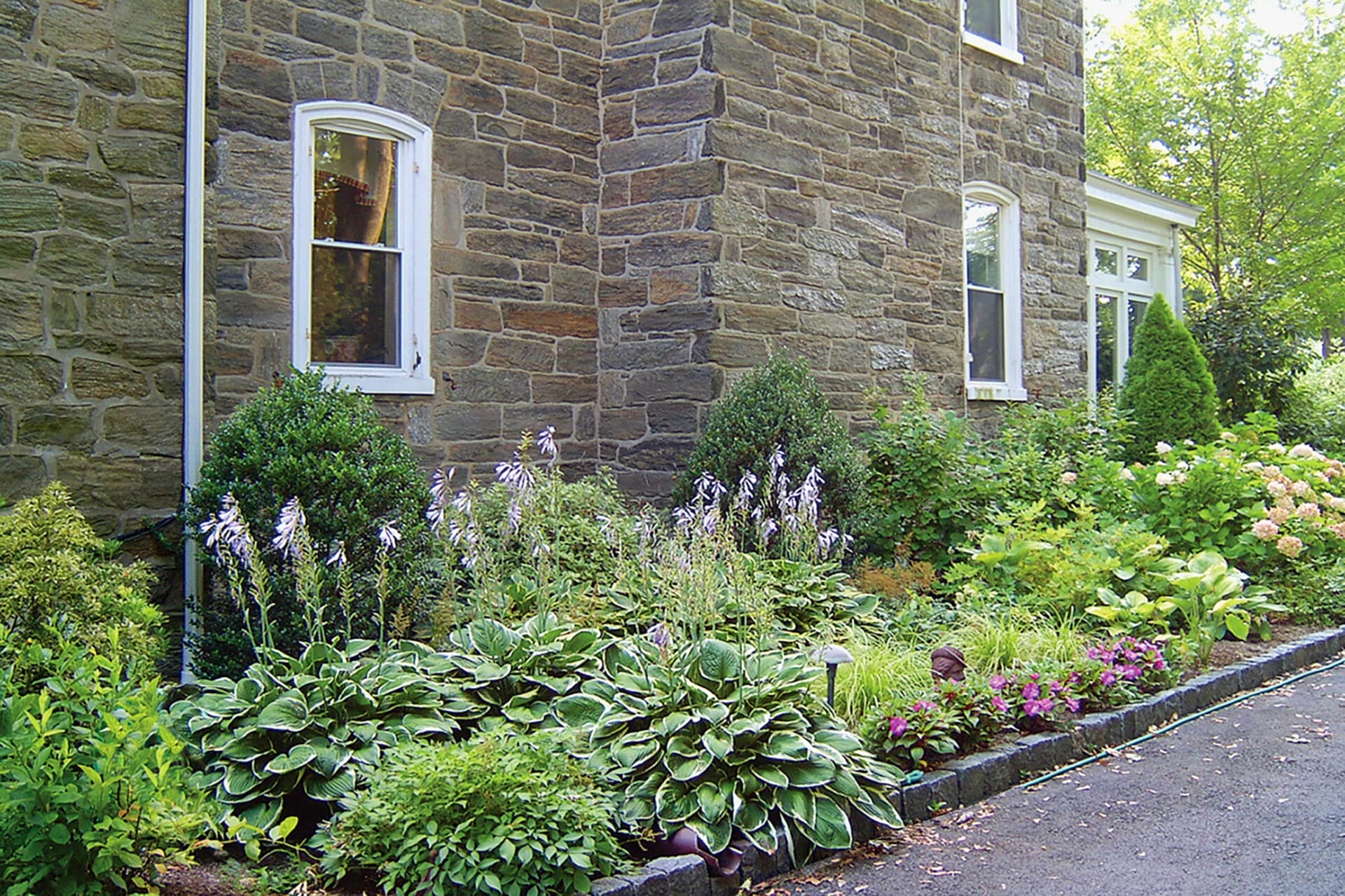 different plants and flowers surrounding the home and driveway