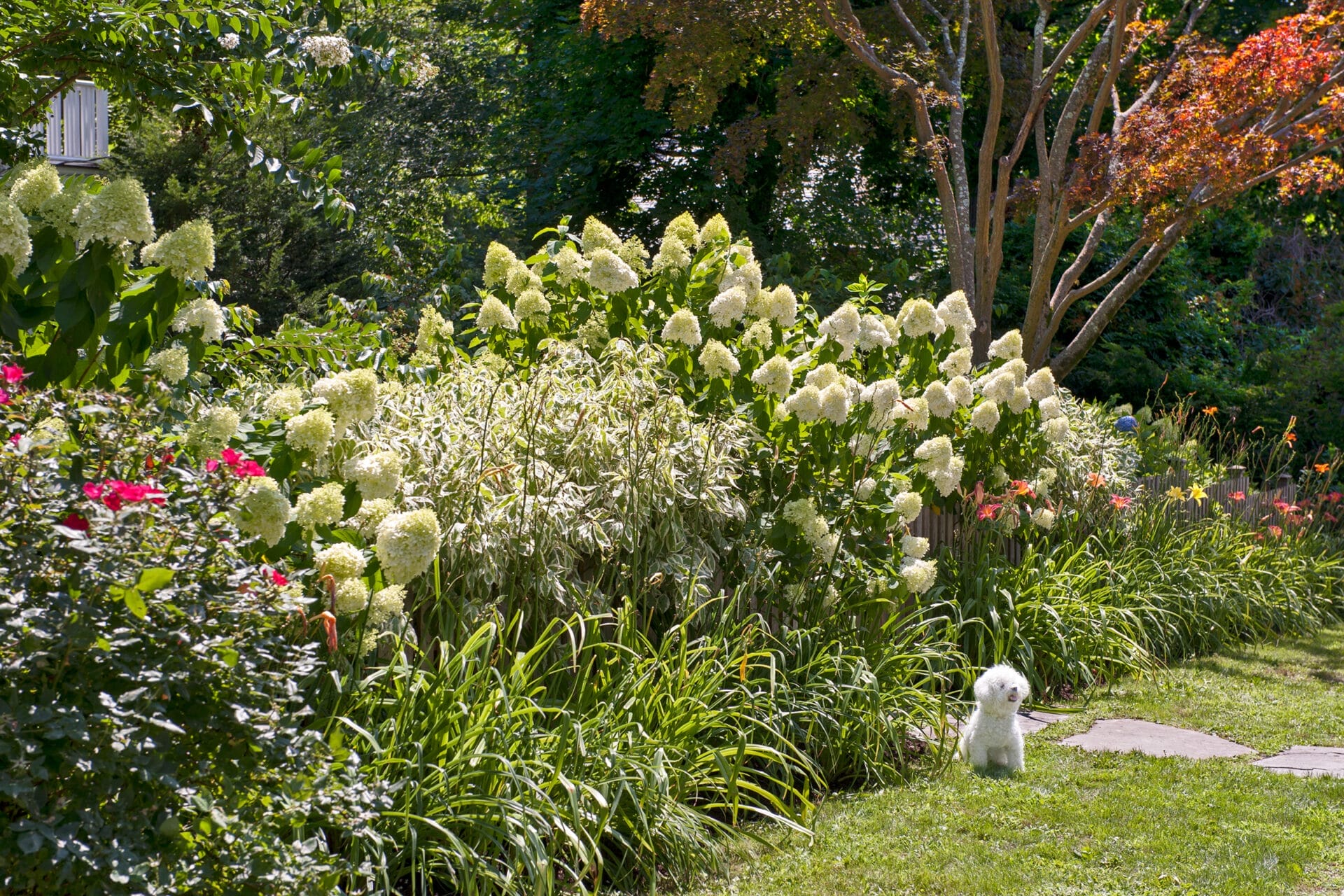 Large gardens create a DIY privacy screen.
