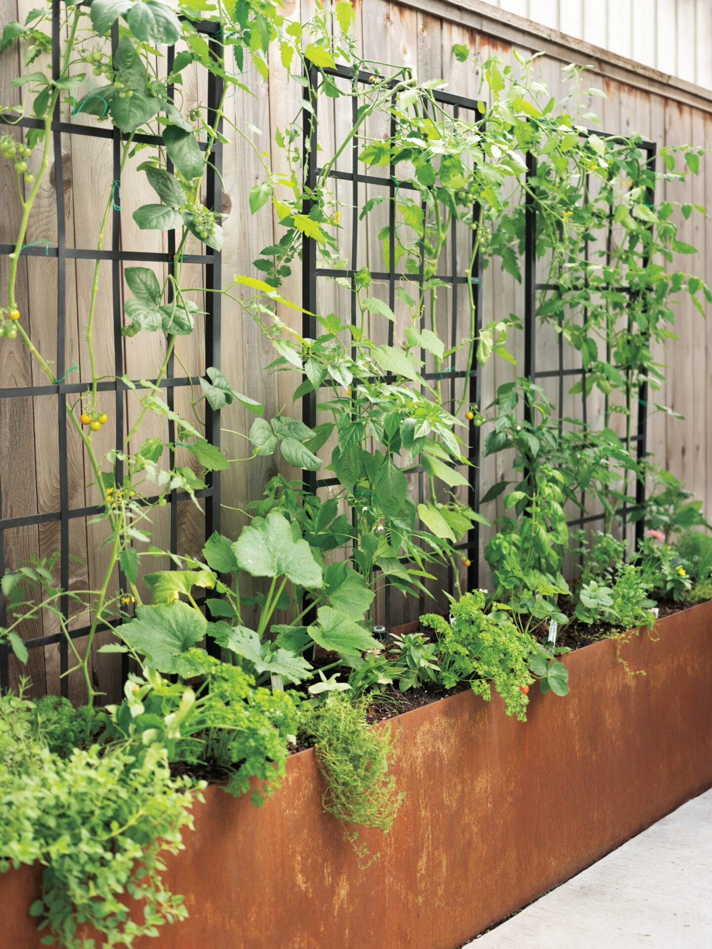 trellises used to help vertical growing plants grow straight