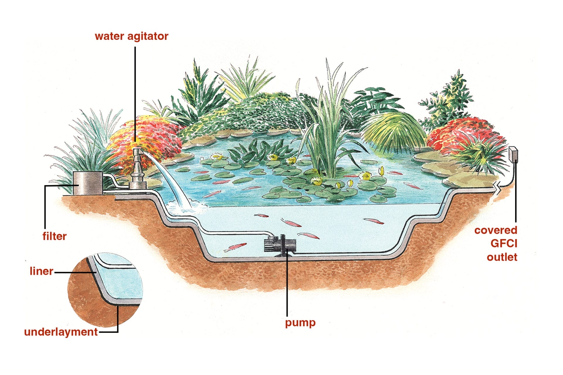 A labeled diagram of a backyard pond with pink fish, surrounded by plants.
