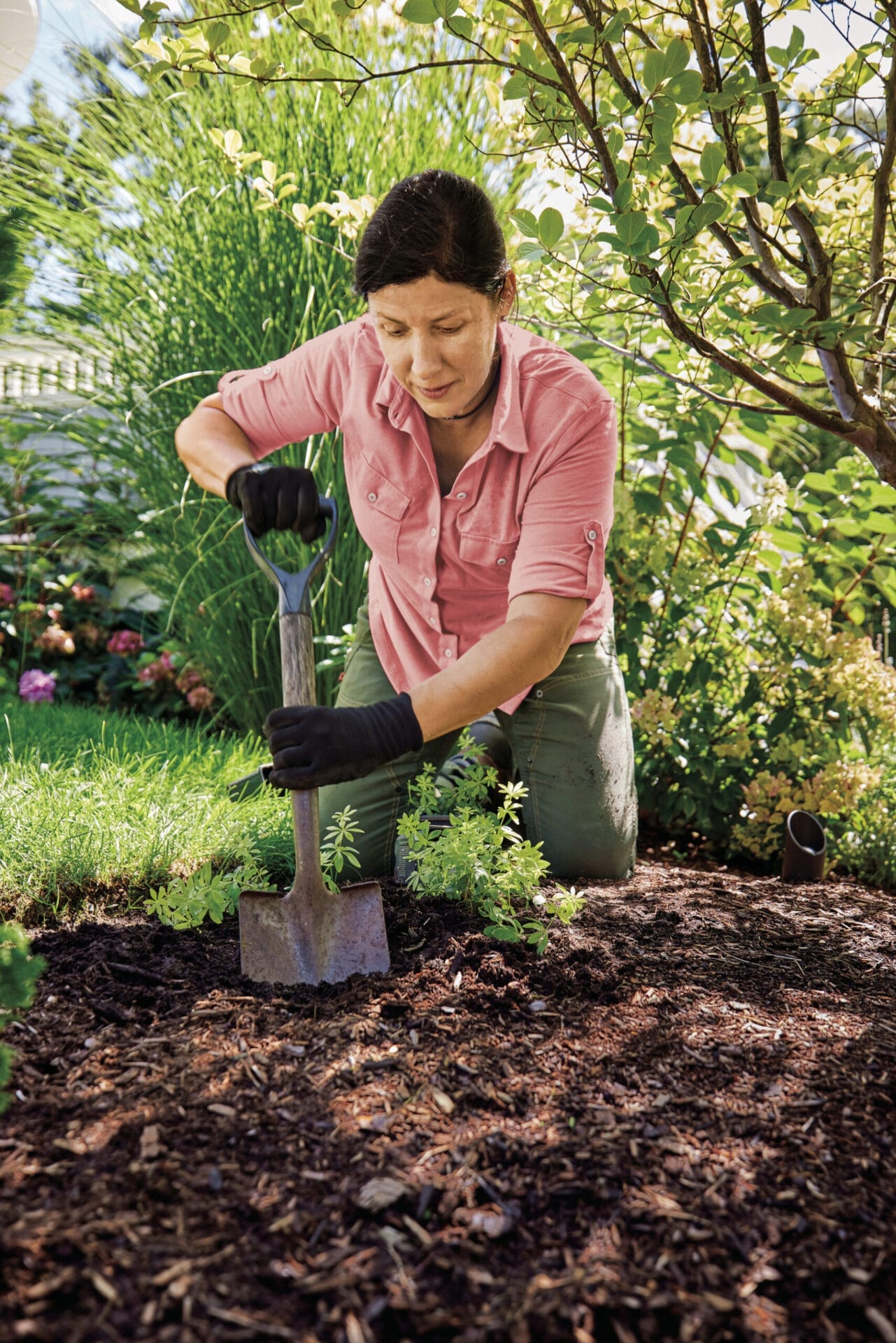 Woman planting ground cover