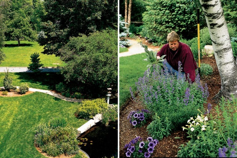 backyard_scratch_path