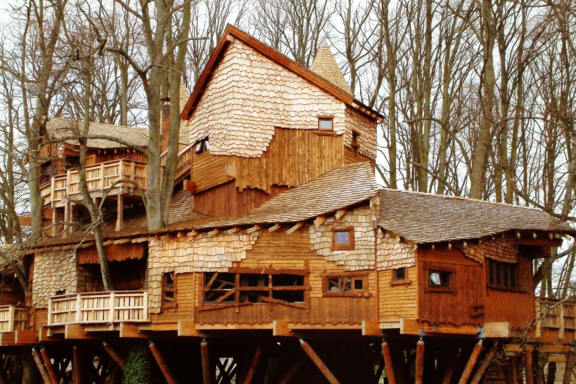 Image of an amazing, intricate treehouse in Alnwick, United Kingdom