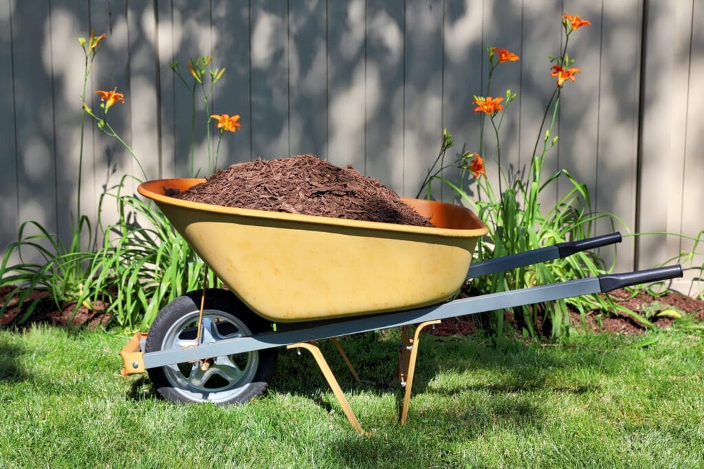 Mulch_iStock_1406527921