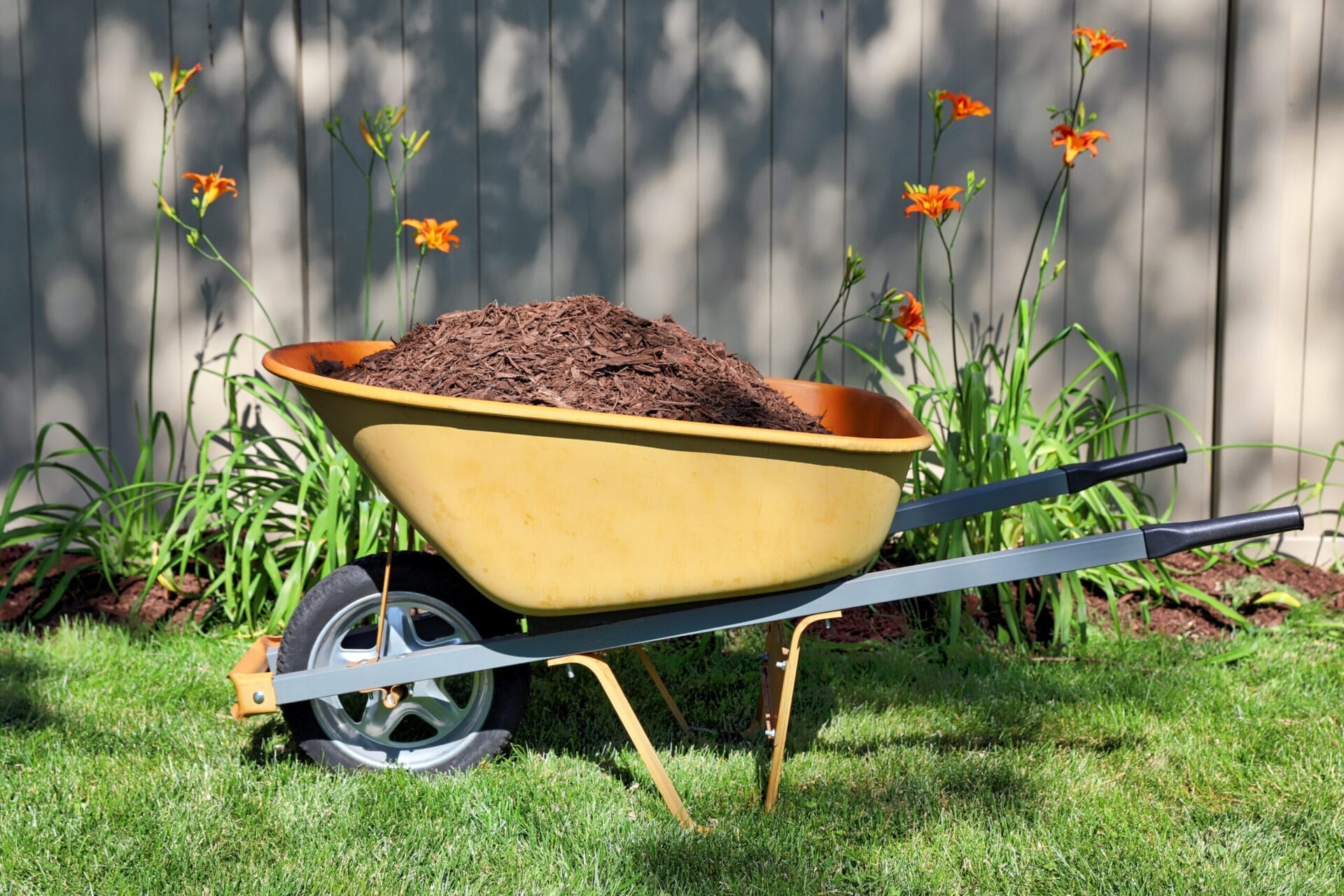 Mulch_iStock_1406527921