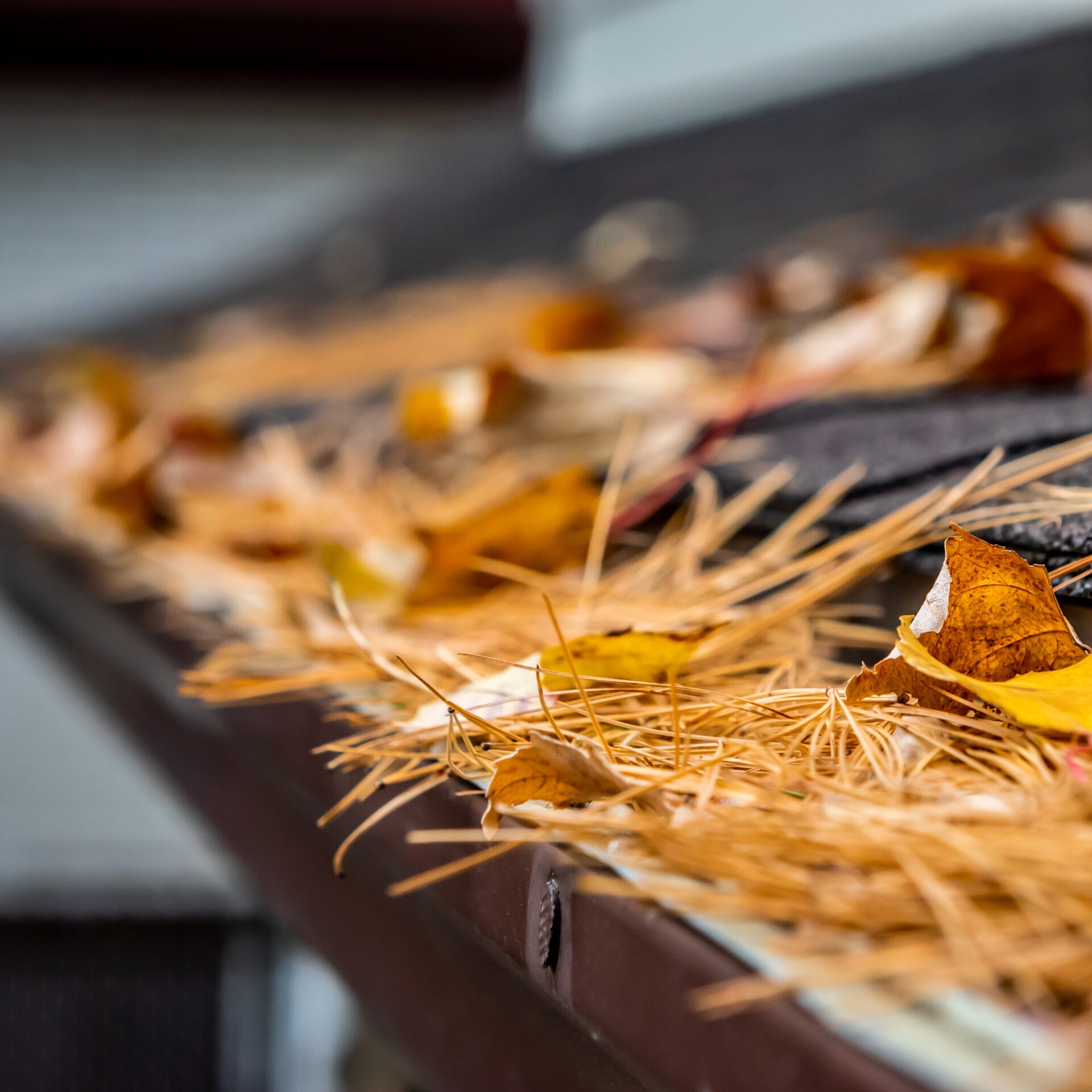 A picture of pine straw clogging gutters.