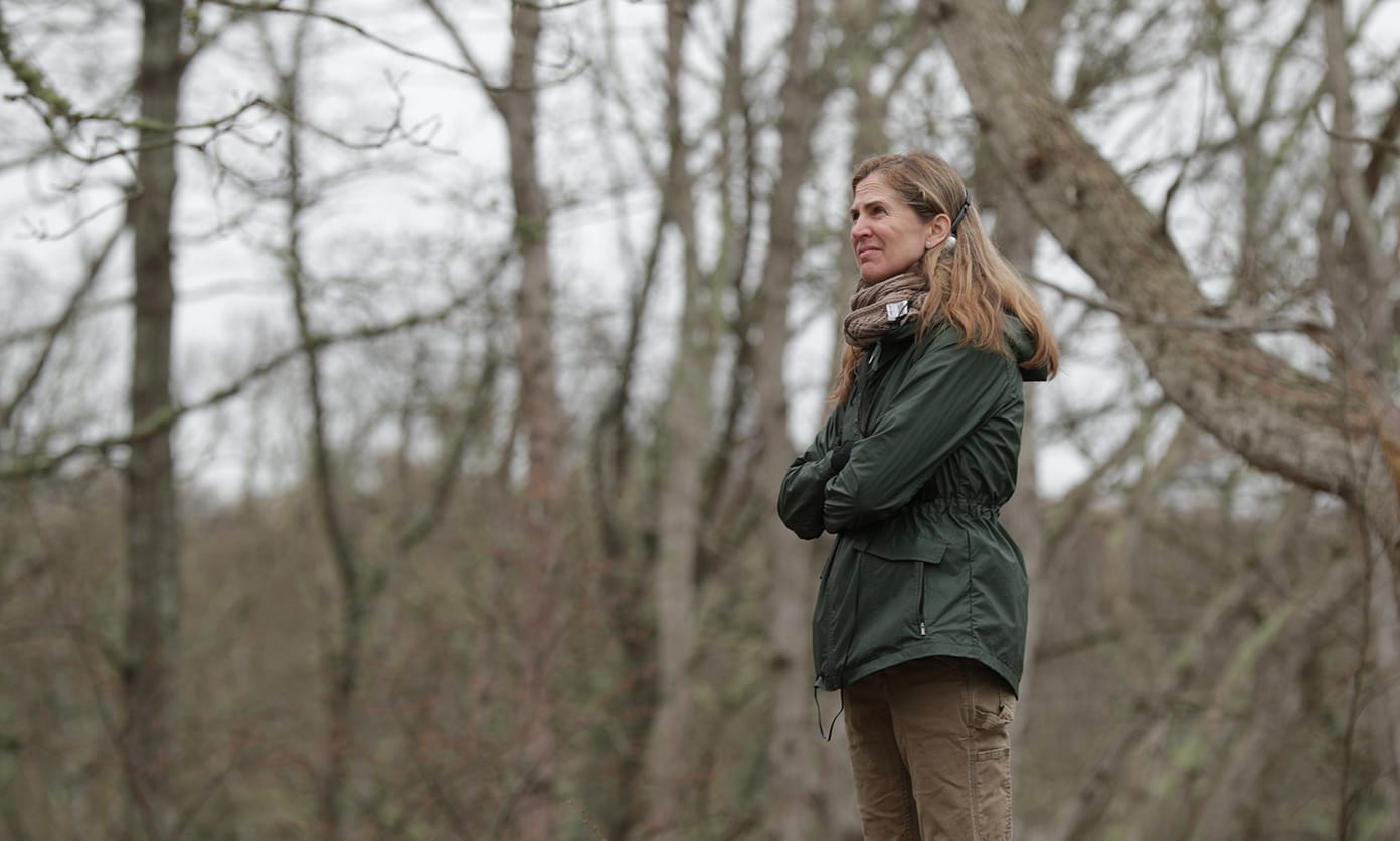 Senior Series Producer Sara Ferguson stands with her arms crossed in a green jacket outside in a forest. She has long hair and appears to be looking thoughtfully into the distance. The background is filled with leafless trees.