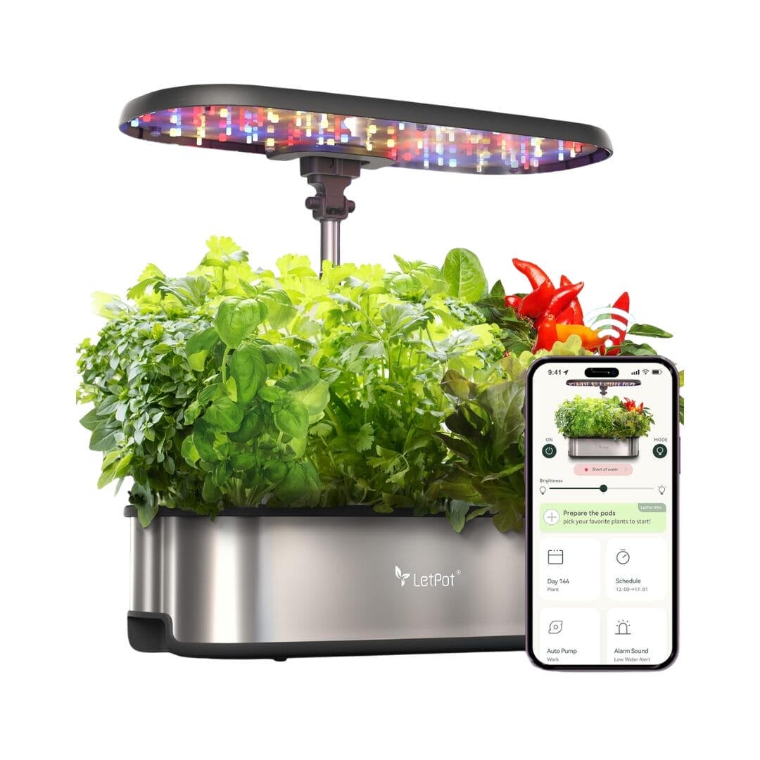 Product Card Image
