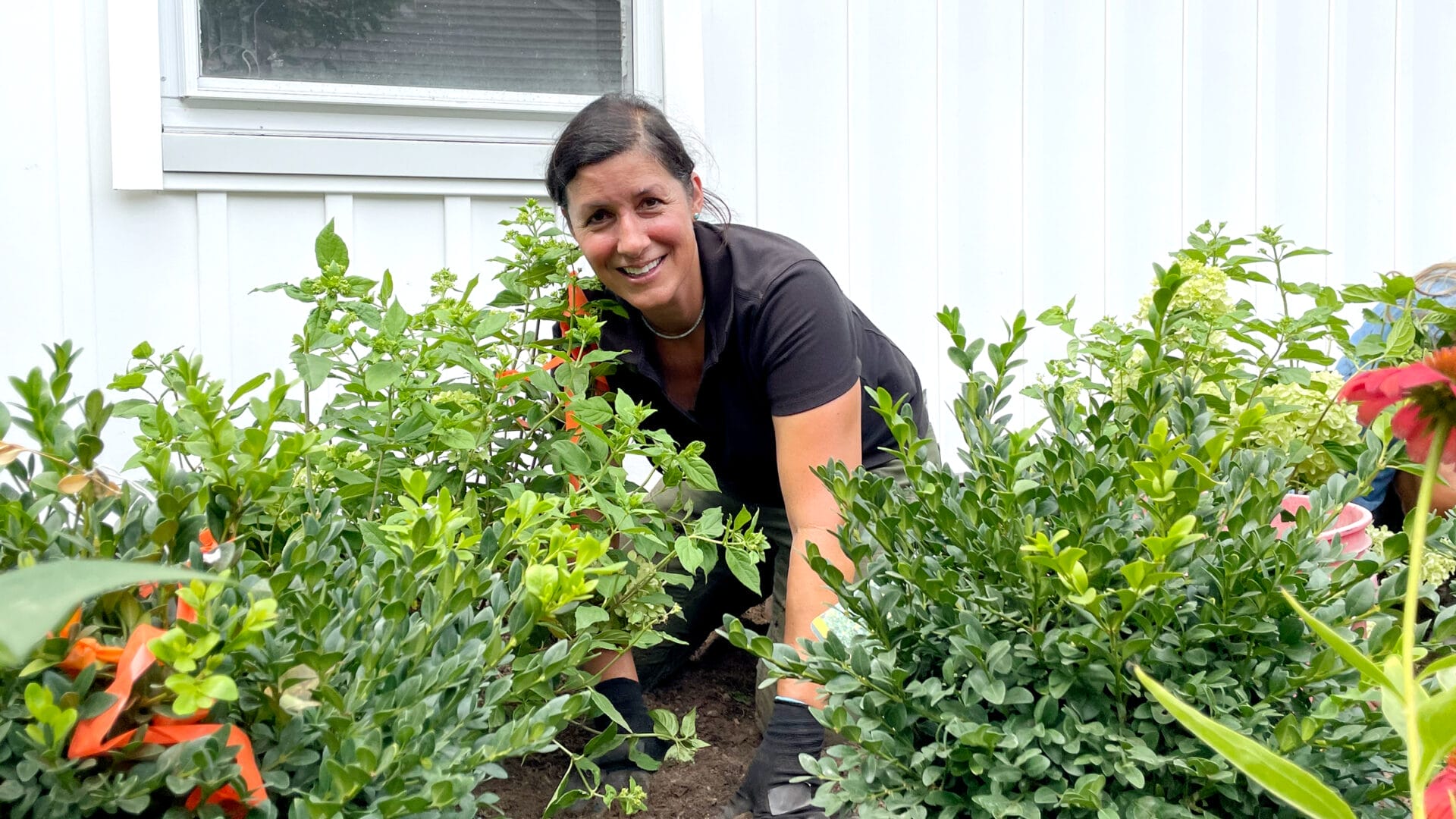 S21 E21, Jenn Nawada plants a full sun garden