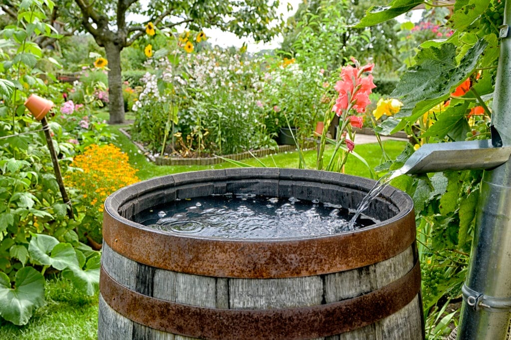 Drainage Solutions for Your Yard, Water Barrel, Garden