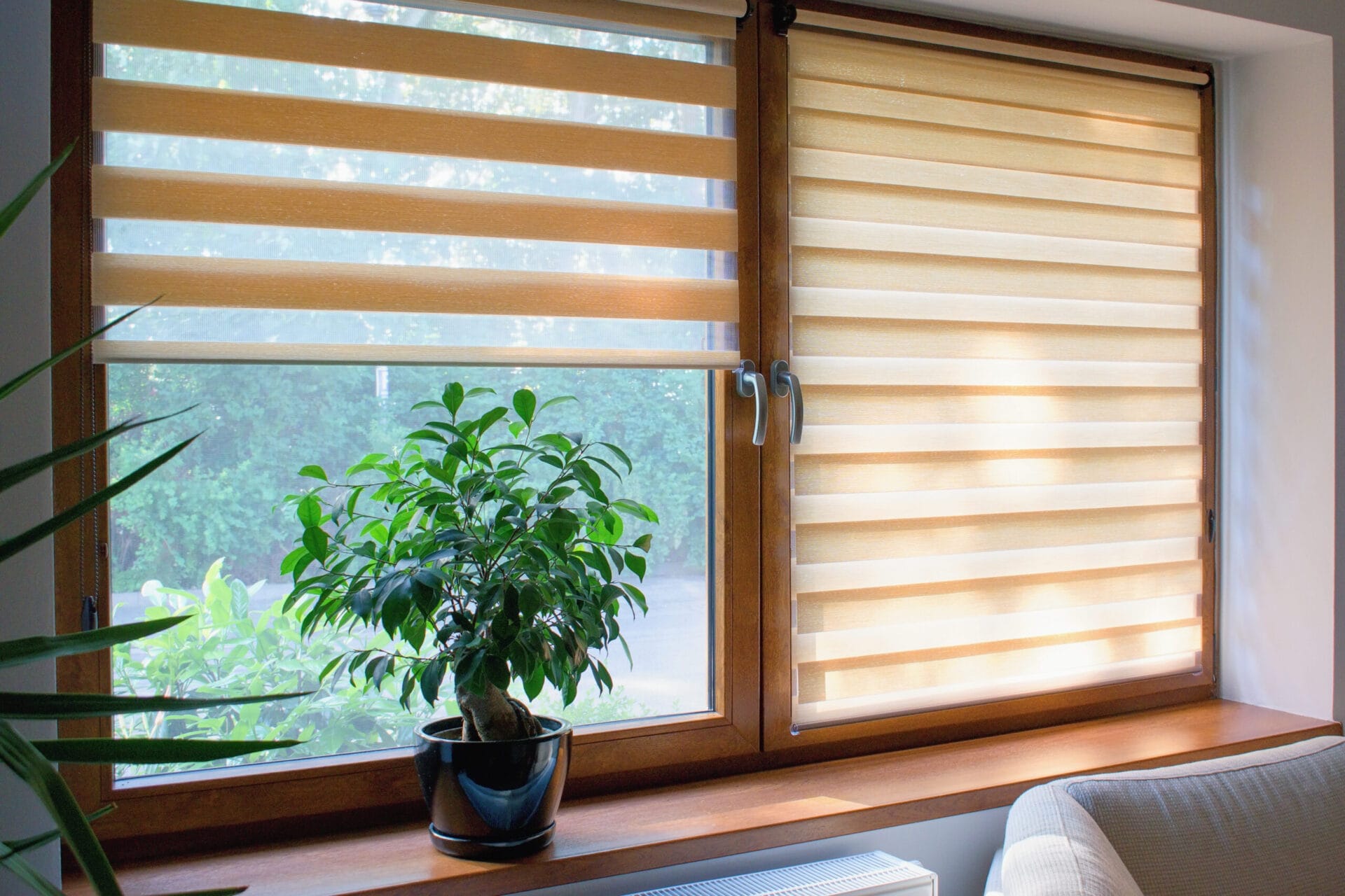 Clean fabric blinds on a window.