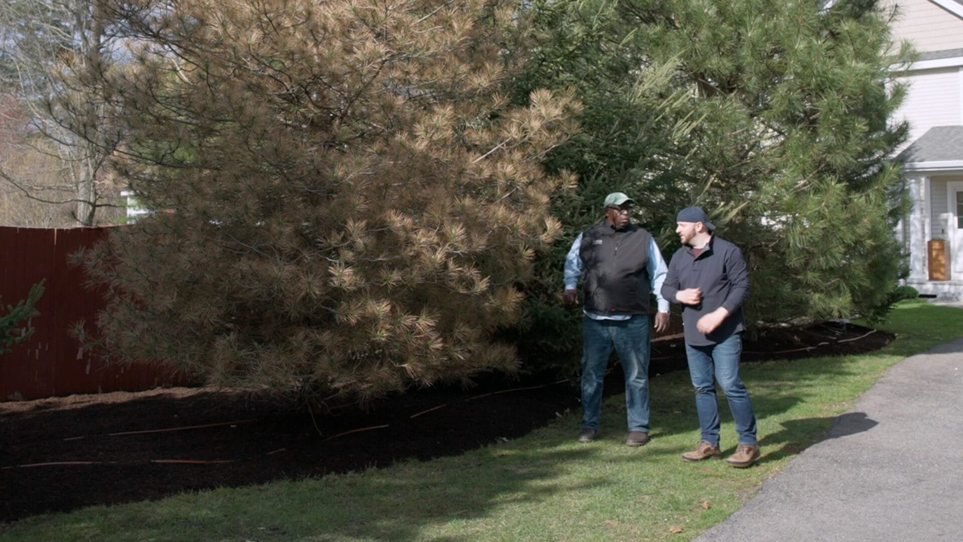 S23 E18: Lee Gilliam assesses a tree that has a fungal disease
