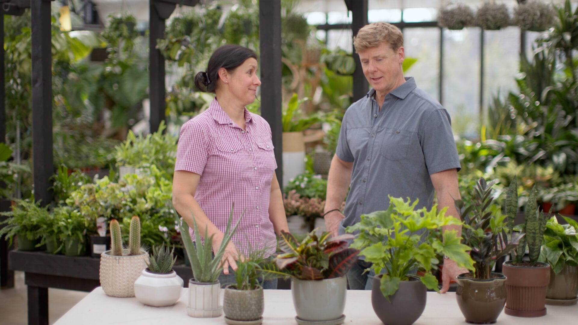 S24 E8: Jenn Nawada shows Kevin O'Connor which houseplants need more or less sunlight