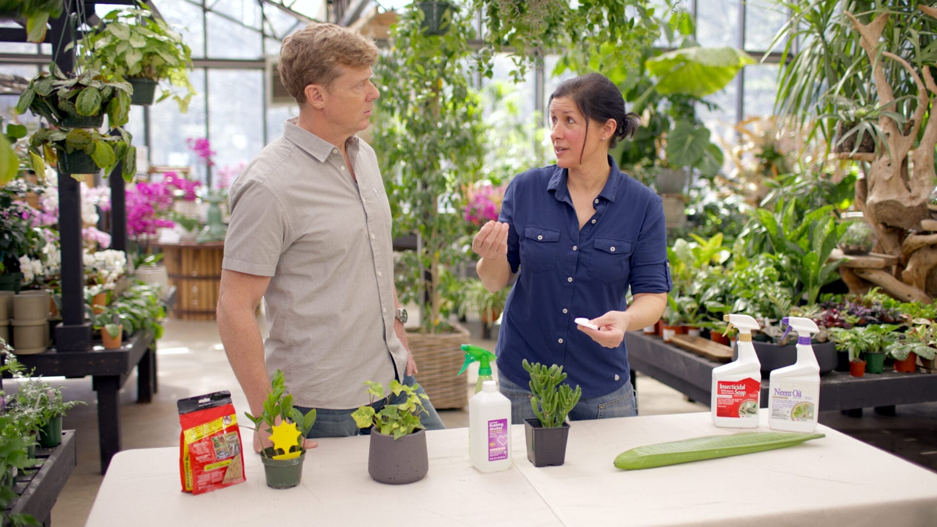 S24 E13: Jenn Nawada explains how to rid your houseplants of pests to Kevin O'Connor